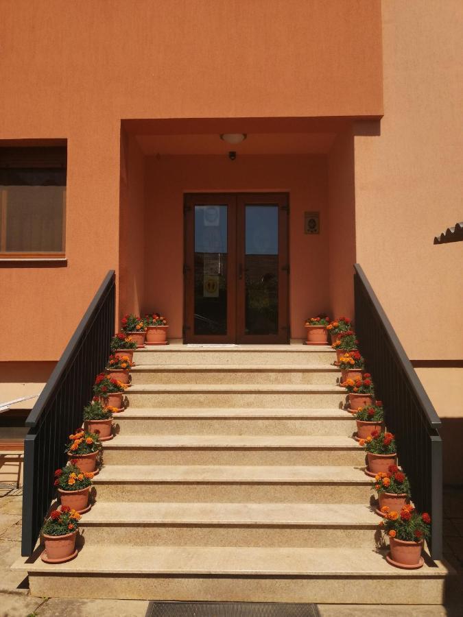 Pensiunea Damiris Baile Felix Exterior photo